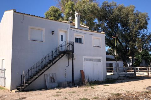 Landejendom i Dolores, Alicante, Dolores - € 20.000 | Ref: LAHUERTA - foto 14